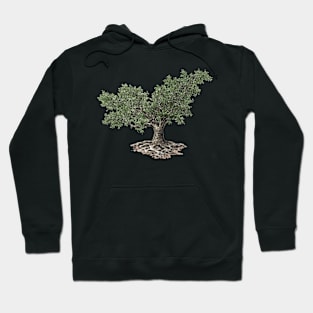 May birthday fig tree Hoodie